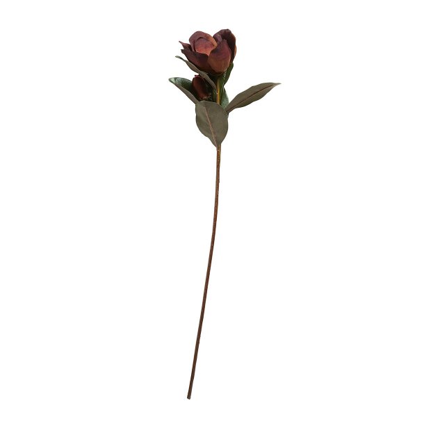 Speedtsberg Rose Magnolia Blomst Stilk H48 cm