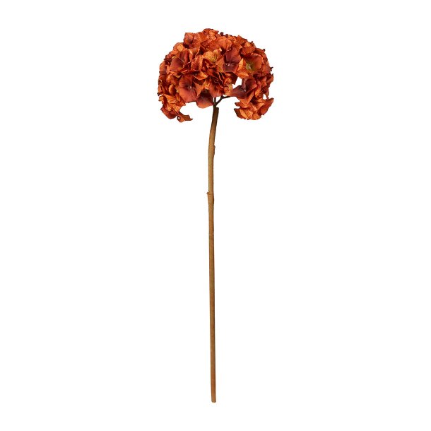 Speedtsberg Brown Hortensia Blomst Stilk H70 cm