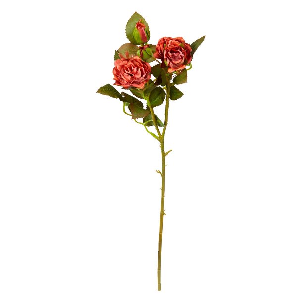 Speedtsberg Old Rose Rose Stilke Bundt H40 cm